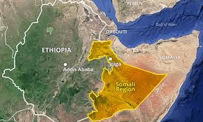 The Oromia–Somali border is no longer just a local dispute; it is a major humanitarian emergency that threatens to destabilize the southern Horn of Africa